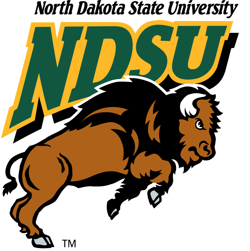North Dakota State Bison 1999-2012 Primary Logo iron on transfers for clothing